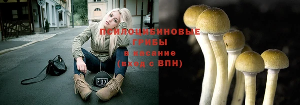 сатива Арсеньев